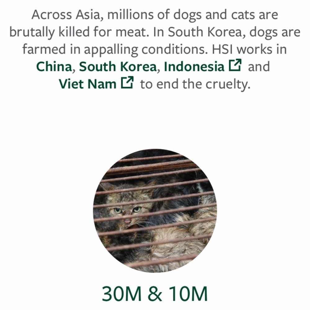 🤬STOP YULIN🤬 - Picture 2 of 8